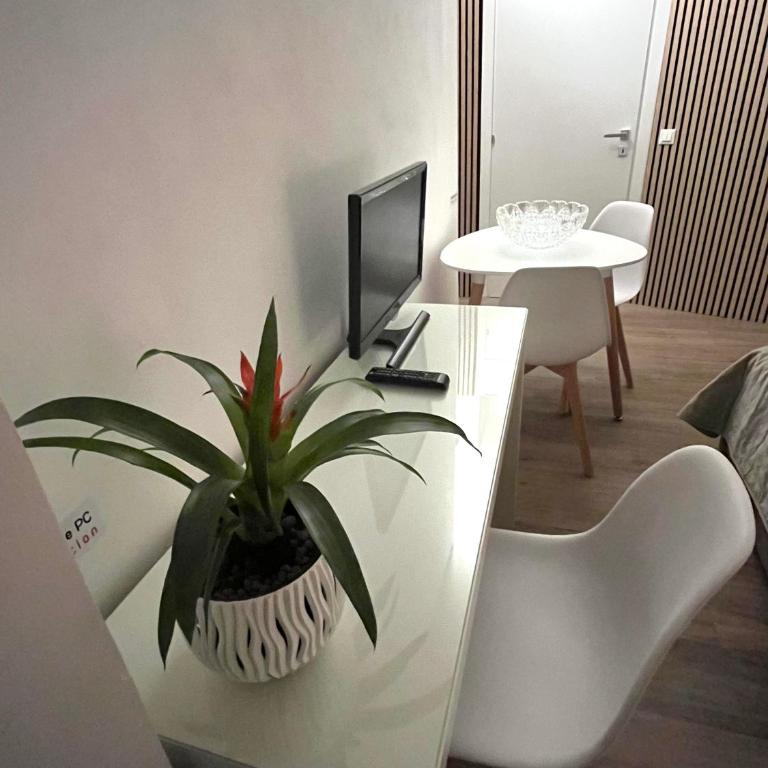 Oriani39 B&B - One-Bedroom Apartment - 35