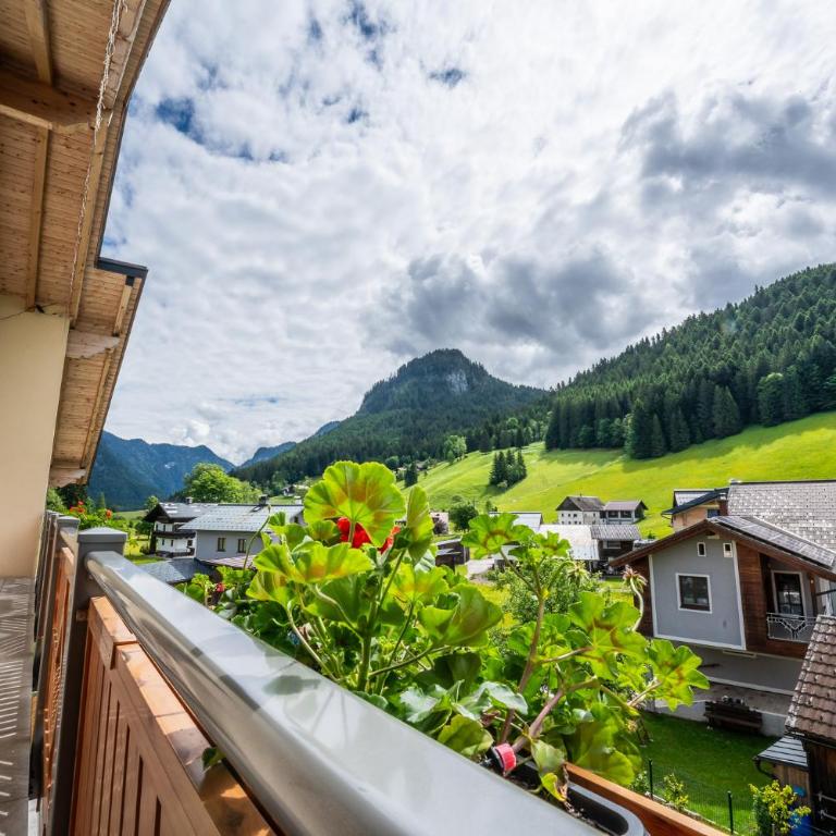 Haus Friedrich - Superior Chalet - 63