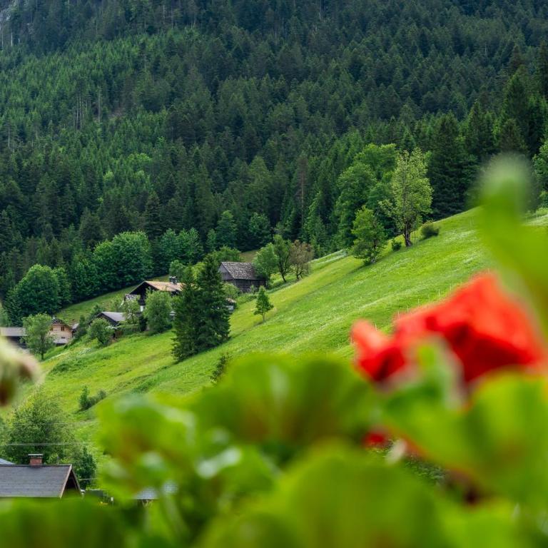 Haus Friedrich - Superior Chalet - 62