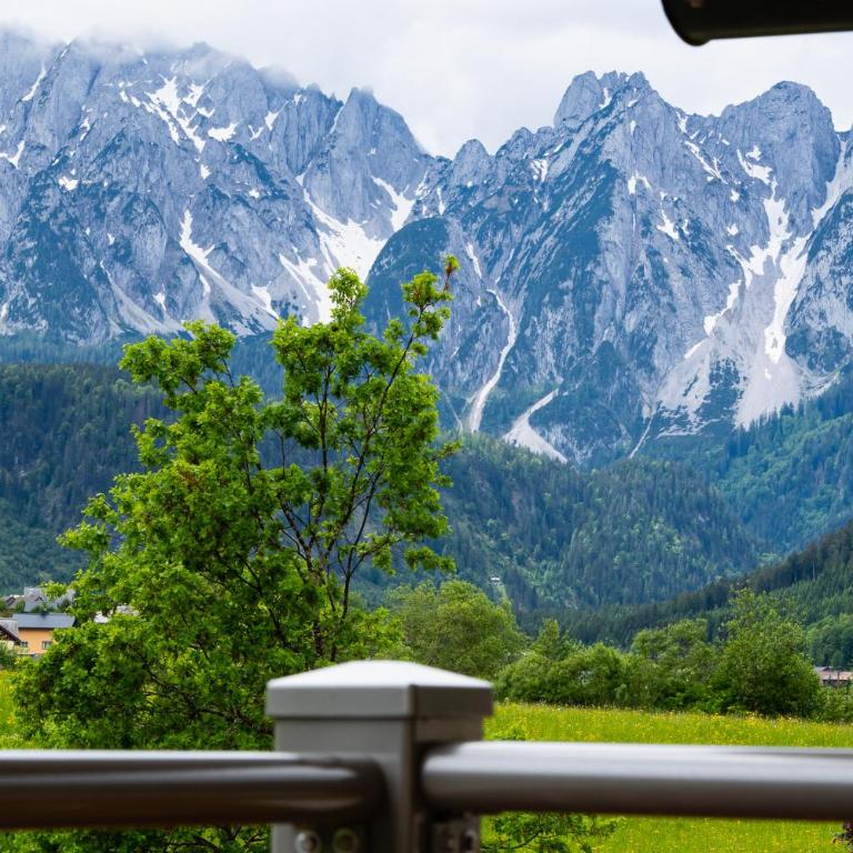 Haus Friedrich - Superior Chalet - 74