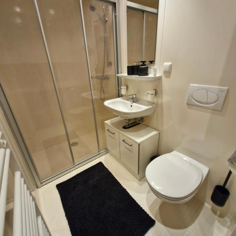 Appartement Premsteingut - Apartment mit 1 Schlafzimmer - 13