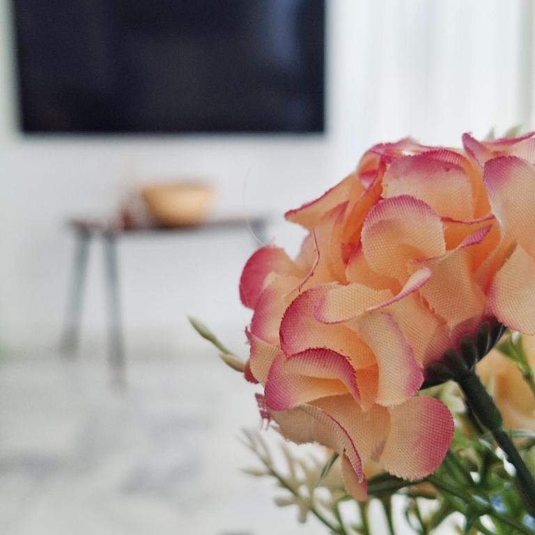 Original y Coqueto en el Centro - Apartamento de 1 dormitorio - 14