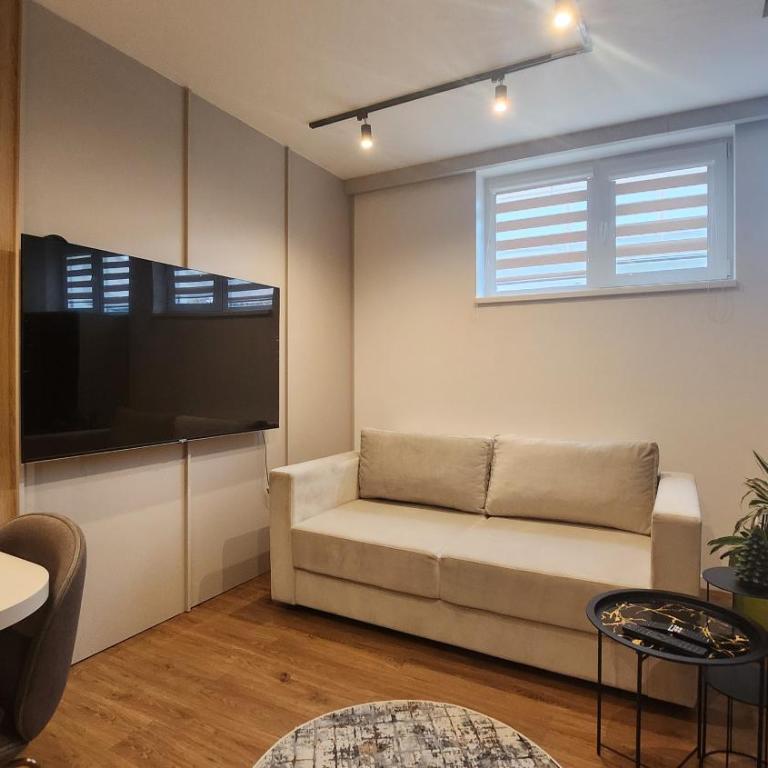 Apartmani Dobrinja - Free parking - Apartman sa 1 Spavaćom Sobom i Spa Kadom - 3