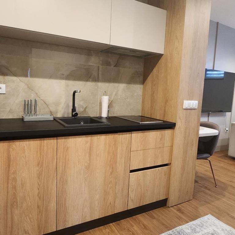 Apartmani Dobrinja - Free parking - Apartman sa 1 Spavaćom Sobom i Spa Kadom - 51