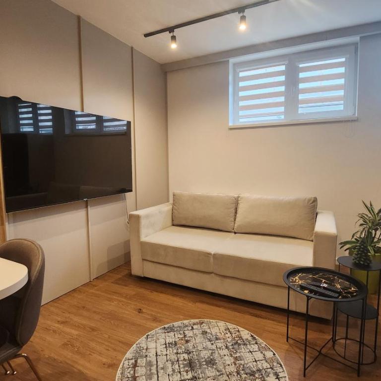 Apartmani Dobrinja - Free parking - Apartman sa 1 Spavaćom Sobom i Spa Kadom - 49