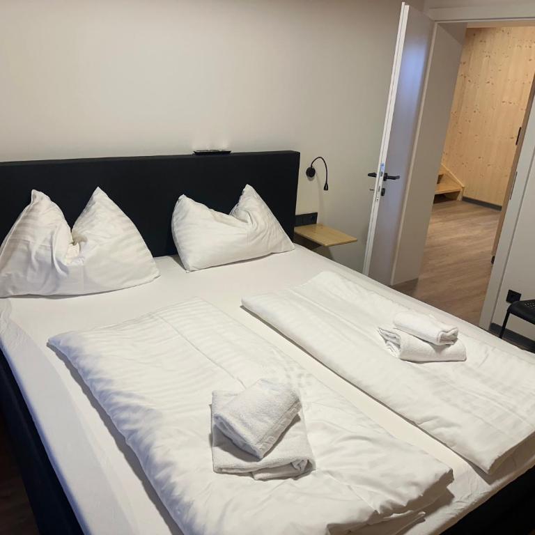 Urlaubsspaß am Nassfeld Ski-Wandern-Mountainbiken Hermagor - Apartment - 3
