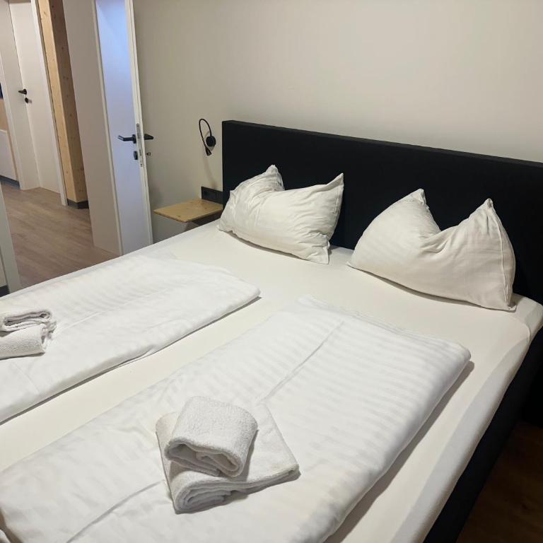 Urlaubsspaß am Nassfeld Ski-Wandern-Mountainbiken Hermagor - Apartment - 4