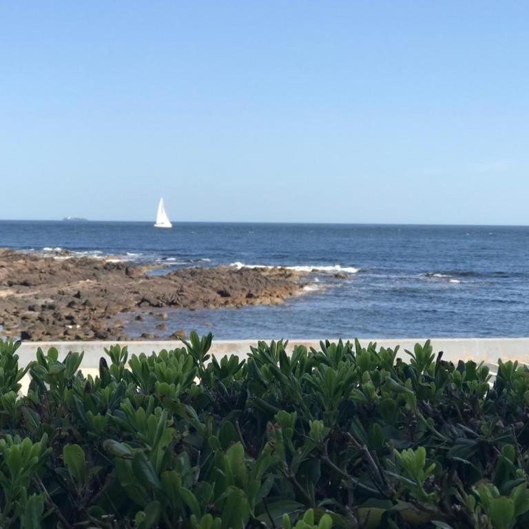 Excelente Frente al mar, Jardin Propio,6 Huéspedes - Apartamento de 3 dormitorios - 13
