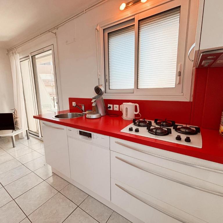 Magnifique appartement terrasse -36- - Apartamento de 2 dormitorios - 3