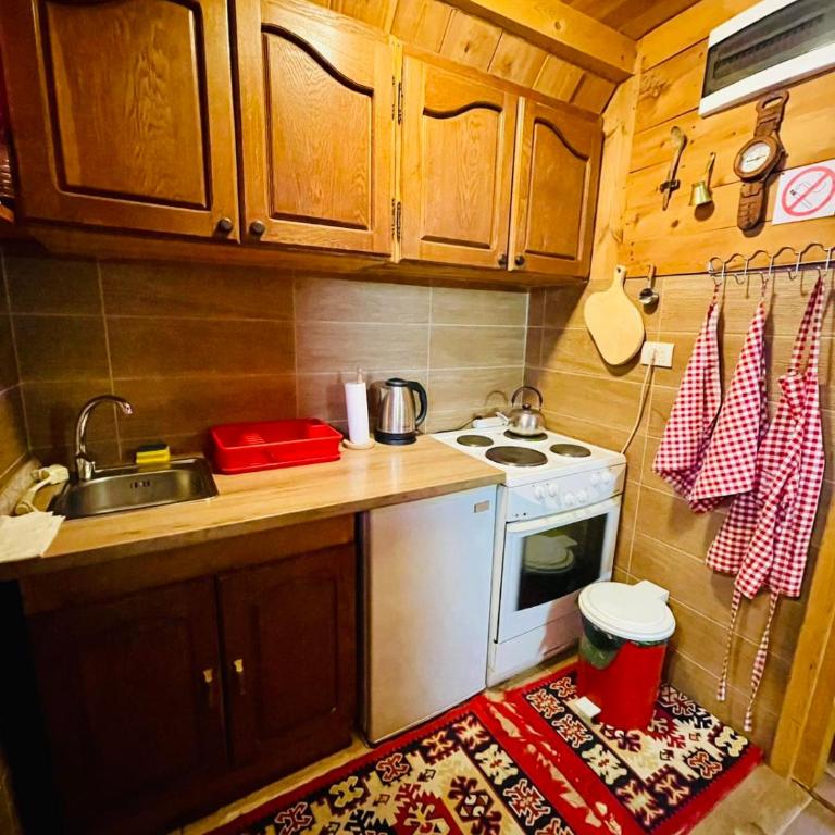 Etno smjestaj Bjelasica - Koliba sa 2 Spavaće Sobe - 19