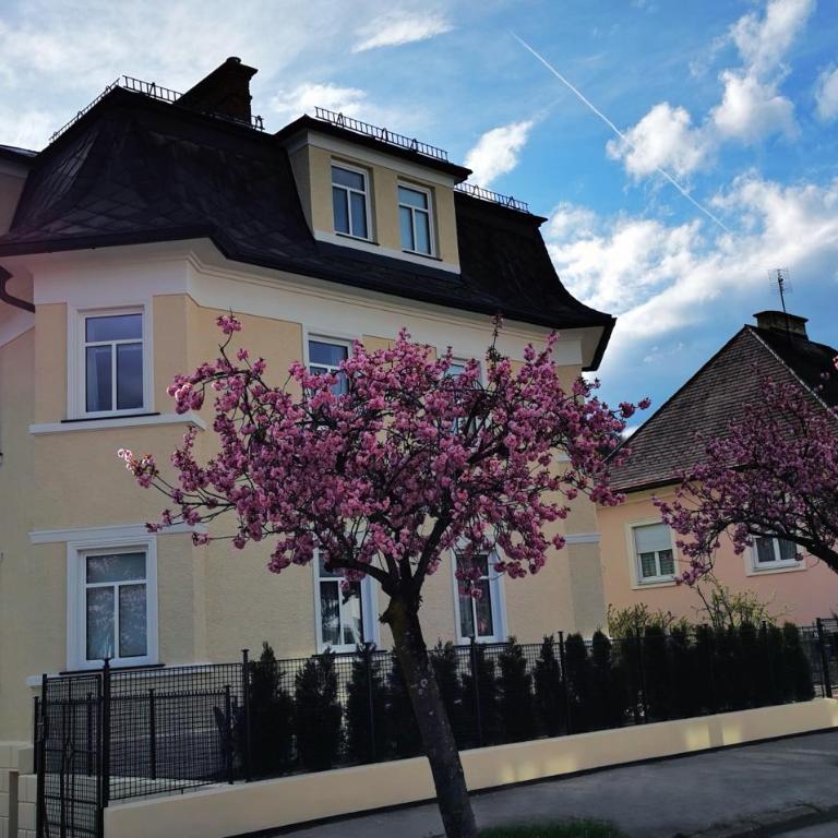 Villa Kreuzbergl - Doppelzimmer - Apartment mit 1 Schlafzimmer - 1