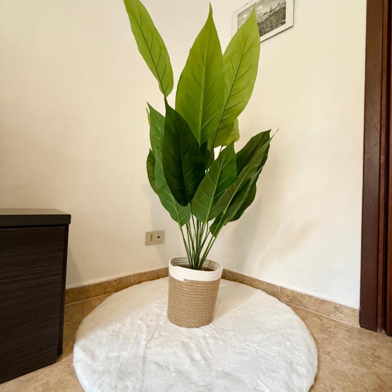 Gigi's Apartment - Appartamento Deluxe - 6