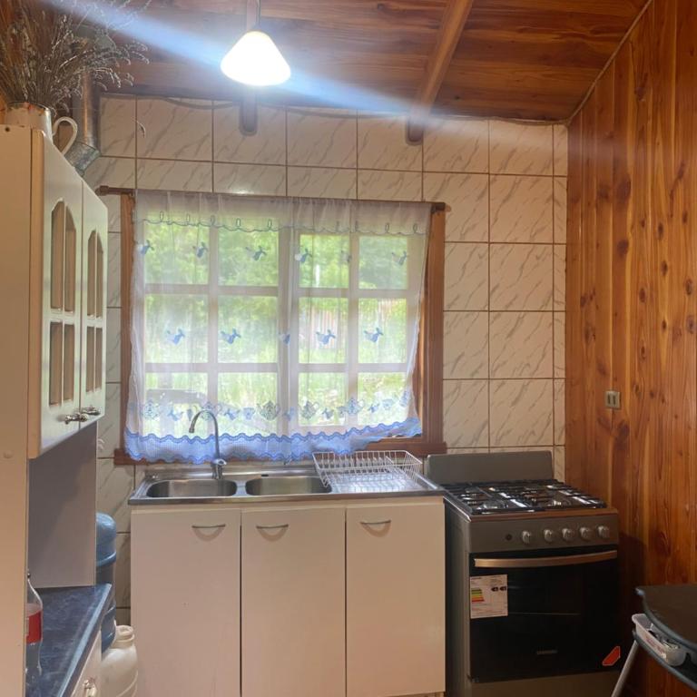 Cabaña don pedro - One-Bedroom Apartment - 4
