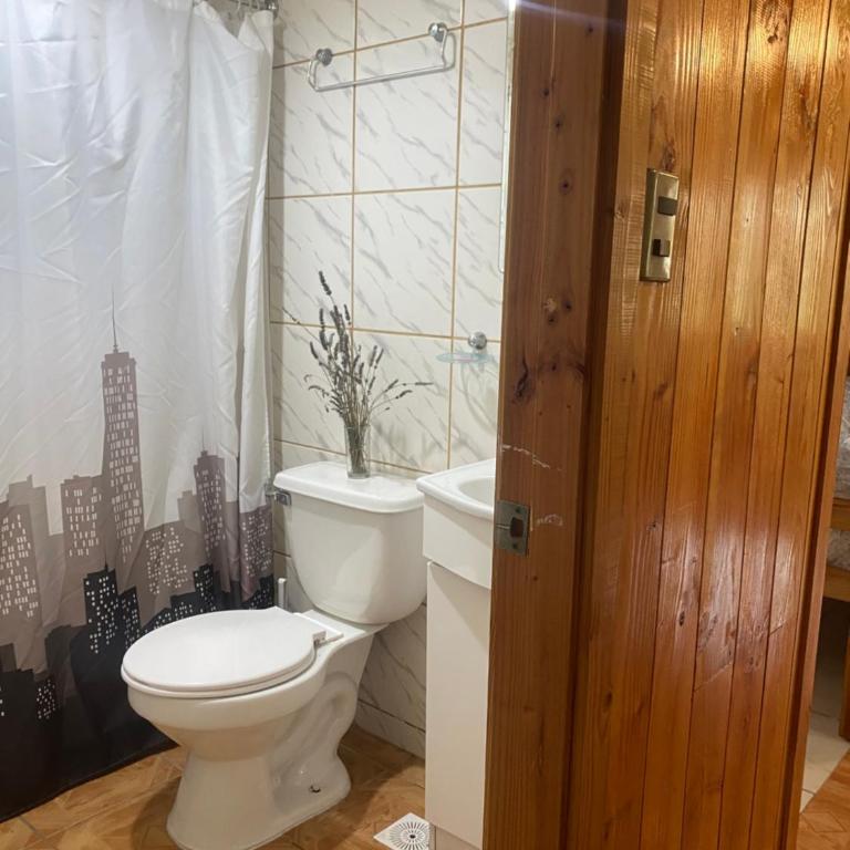 Cabaña don pedro - One-Bedroom Apartment - 15