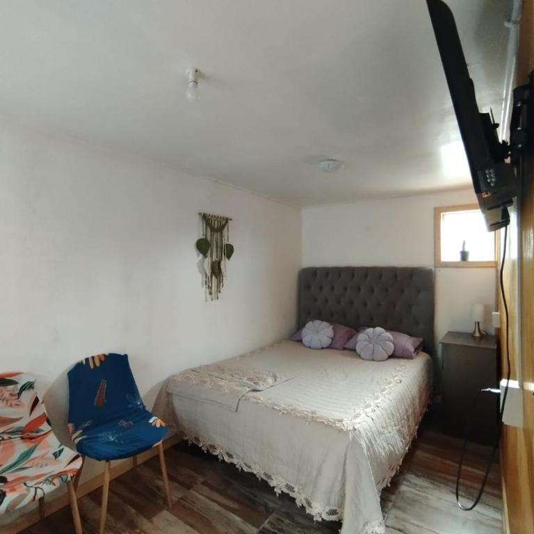 Casa Flor Austral - Apartment - 1