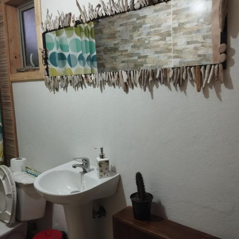 Casa Flor Austral - Apartment - 6