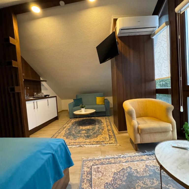 Apartments HAN Alifakovac-Sarajevo - Deluks Apartman - 18