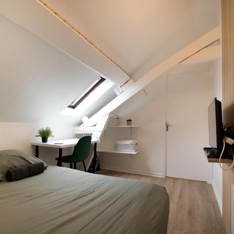 Le Nid - Studio in Hypercentre - Cathédrale - Appartement 1 Chambre - 3