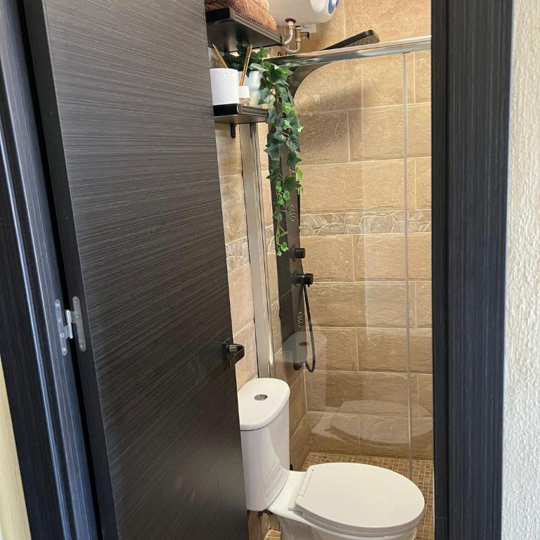 Apartamento Meliyeri2 1ª línea de playa - Apartamento de 1 dormitorio - 10