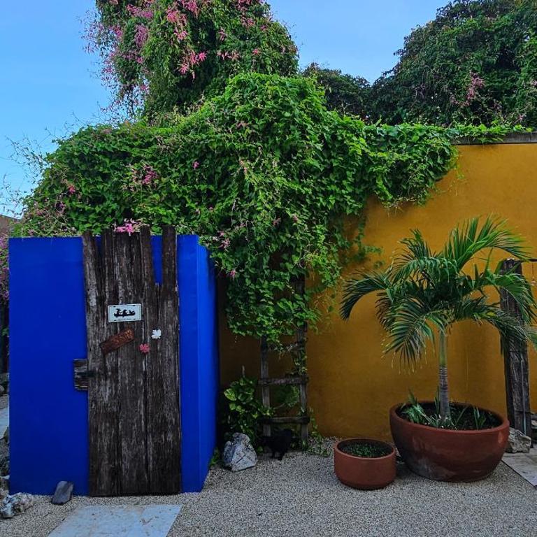Casitas Merida - Studio - 14