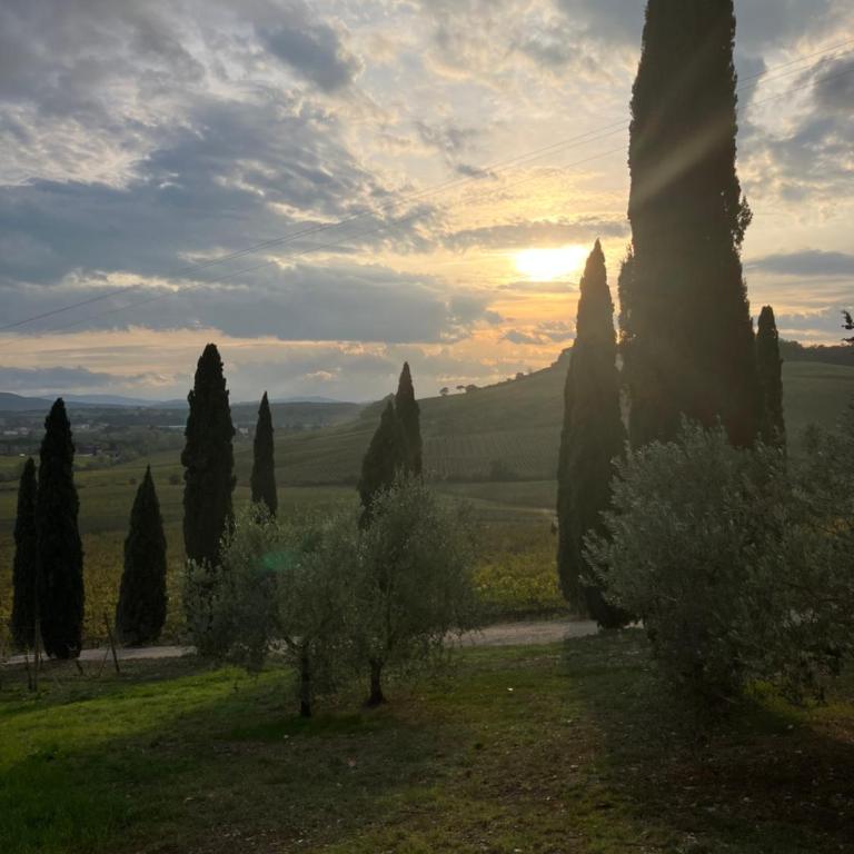 Agriturismo Casale Dello Sparviero - Two-Bedroom Apartment (4 Adults) - First floor - 5