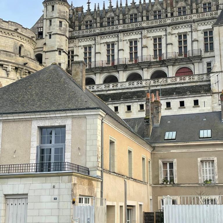 Le Grenier à Sel d'Amboise 5 pers PMR, parking privé, terrasse, maison historique - Appartamento con 2 Camere da Letto - 2