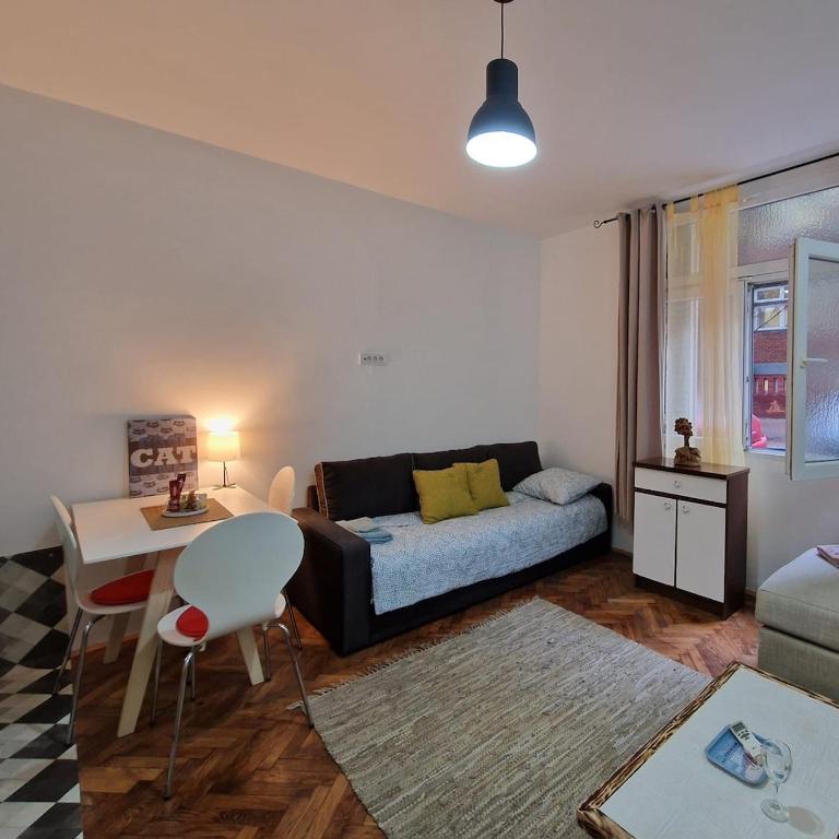 Flat in center of Belgrade - One-Bedroom Apartment - 14
