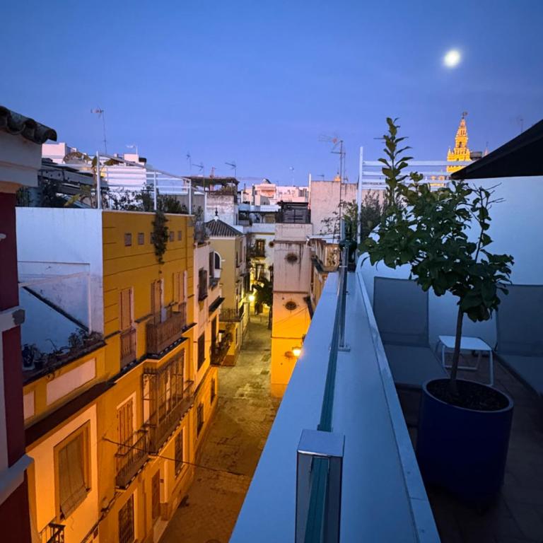 Sevilla DosTorres - Habitación Doble con terraza - 8