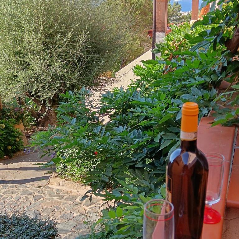Grazioso bilocale a Porto Rotondo in Costa Smeralda - Appartamento con 1 Camera da Letto - 18