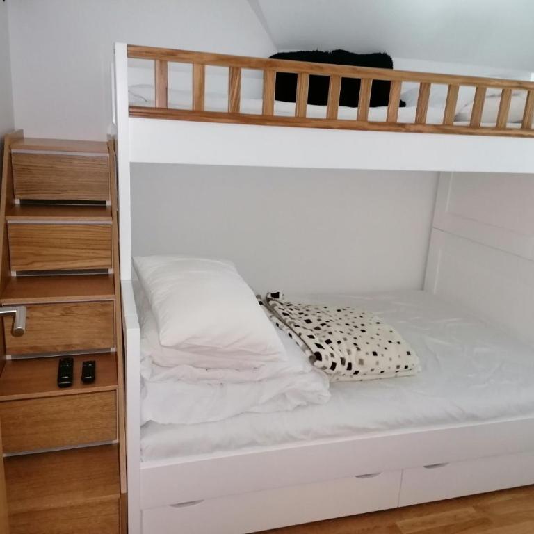 Vila Irina Kopaonik - Apartman sa Pogledom - 7