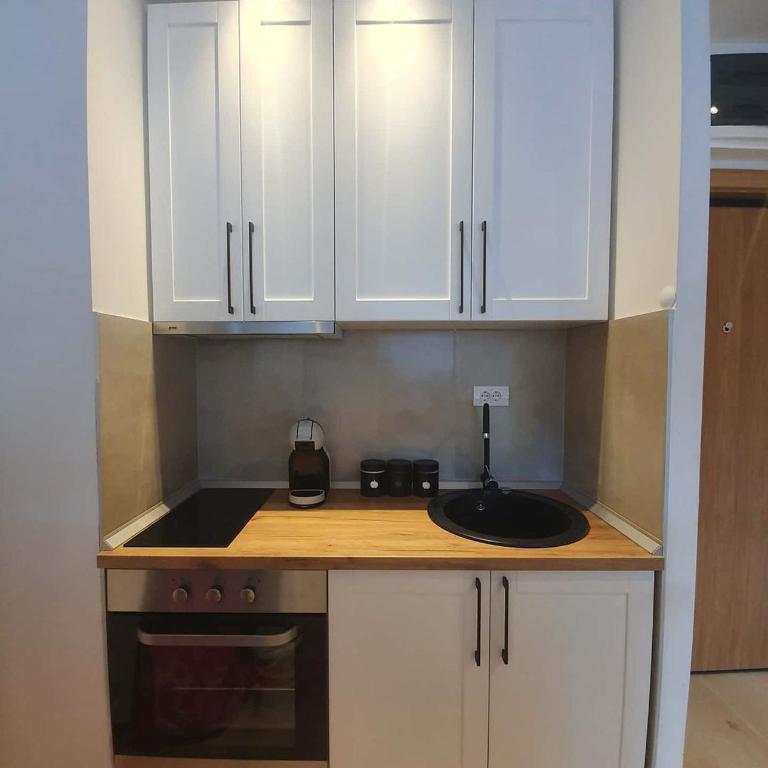 Vila Irina Kopaonik - Apartman sa Pogledom - 4