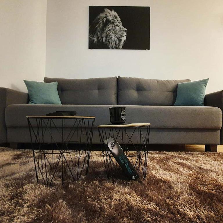Vila Irina Kopaonik - Apartman sa Pogledom - 2