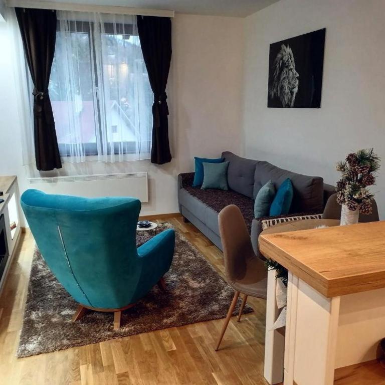 Vila Irina Kopaonik - Apartman sa Pogledom - 5