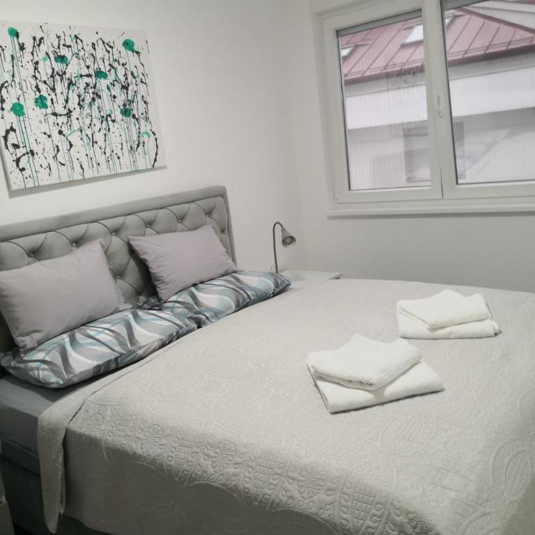 Apartman Nika Banja Koviljaca - Apartman sa 1 Spavaćom Sobom - 19
