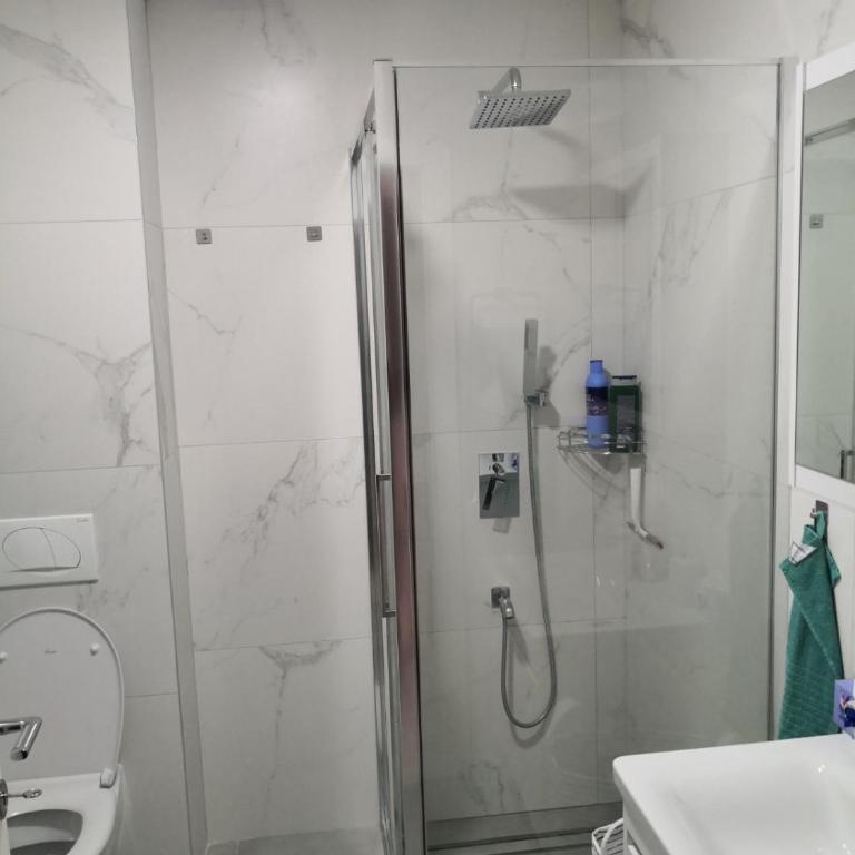 Apartman Nika Banja Koviljaca - Apartman sa 1 Spavaćom Sobom - 17