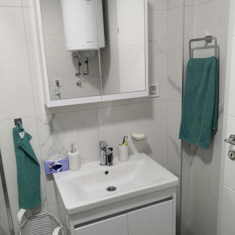 Apartman Nika Banja Koviljaca - Apartman sa 1 Spavaćom Sobom - 14