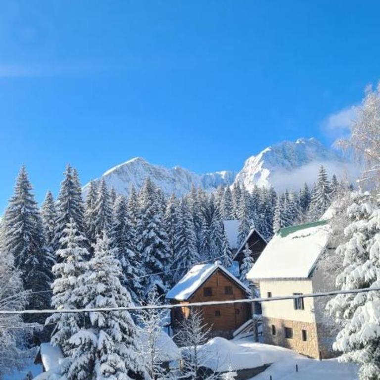 Villa Jezero 4 - One-Bedroom Apartment - 40