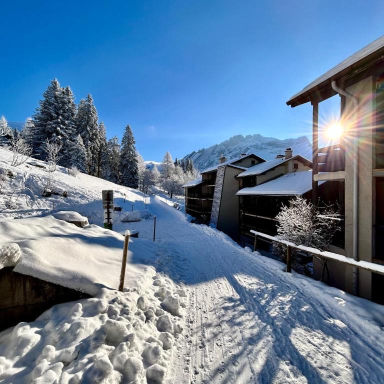THE ALPINE STUDIO by the ski slopes & lake Frience 3pax - Apartment mit Blick auf die Berge - 34
