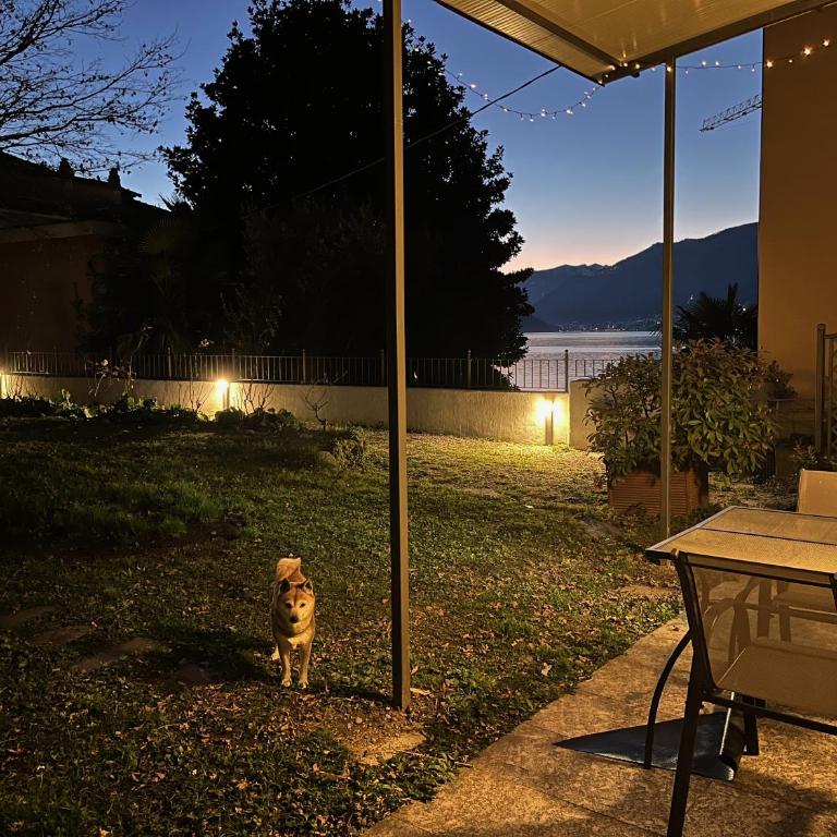 Casa Elli Serbelloni 12 - Casa con 2 Camere da Letto - 26