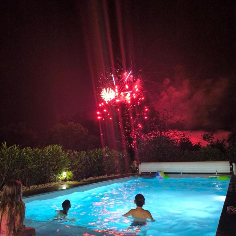 La Villa d Elsa 10-12 pers piscine chauffée 500m du centre ville - Villa - 15