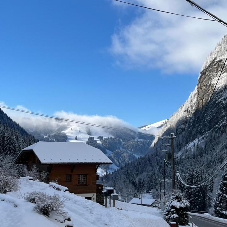 Chalet Les Lanchettes - Chalet - 15