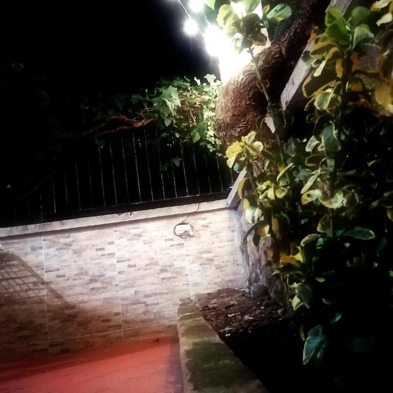 Gianicolense Holiday Suite-Apartment - Monolocale - 34