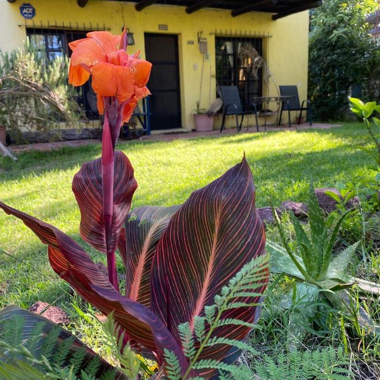 El bastión - One-Bedroom Apartment - 15