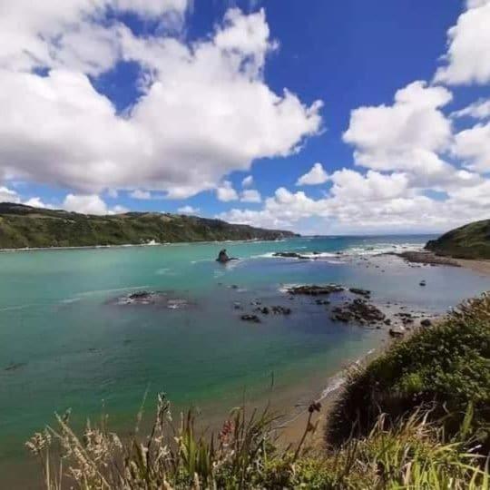 Refugio Pumillahue, Chiloé - One-Bedroom Apartment - 15