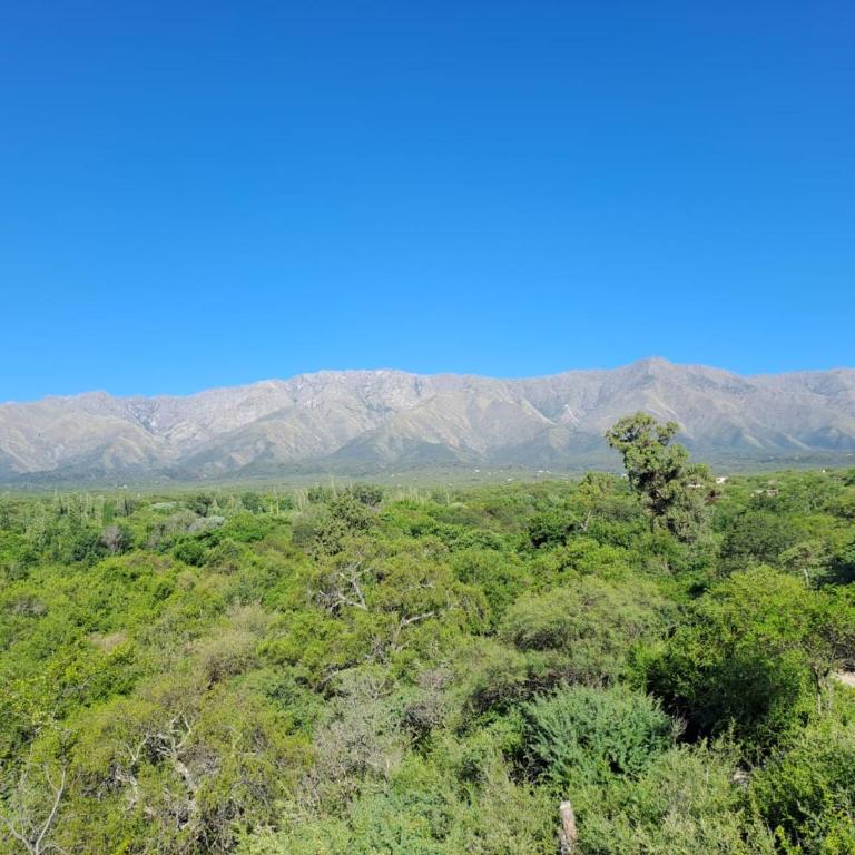 la vinca serrana - Apartamento de 2 dormitorios - 12