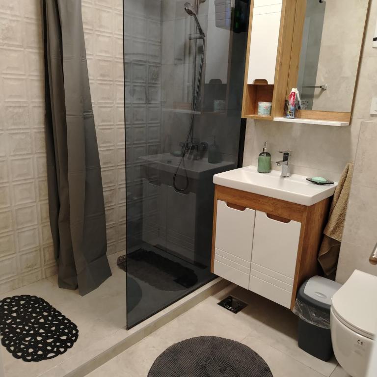 Star Apartment Belgrade 1 - Apartman sa 1 Spavaćom Sobom - 14