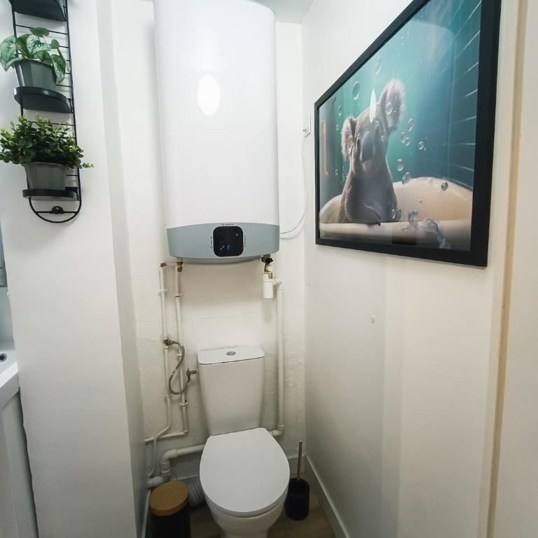 Studio de Charme Quartier Carmes - One-Bedroom Apartment - 17