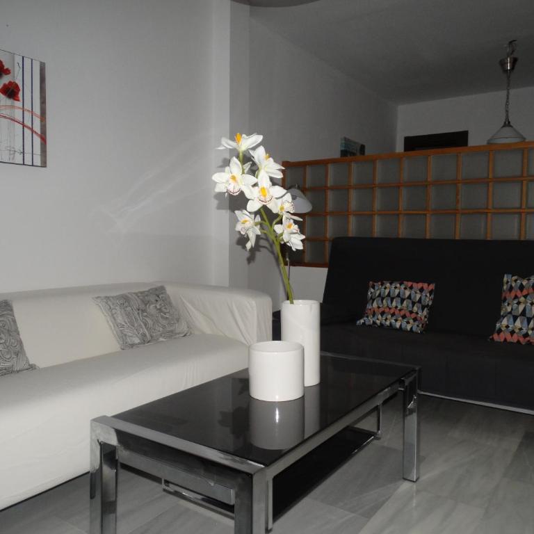 Málaga Apartamentos - Jinetes, 13 - Studio - 6