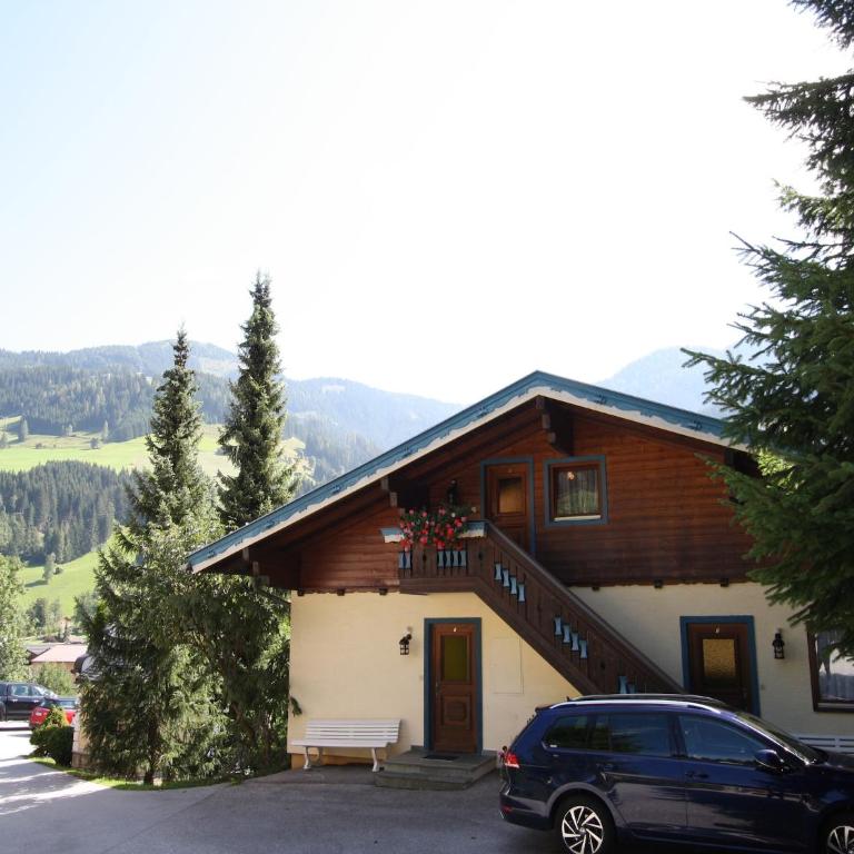Apartment in Kleinarl near Ski Lift - Apartment mit 1 Schlafzimmer - 17