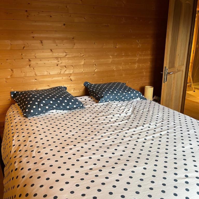 Chalet, vue sur la vallée, Domaine skiable Grand Massif - Chalet - 14